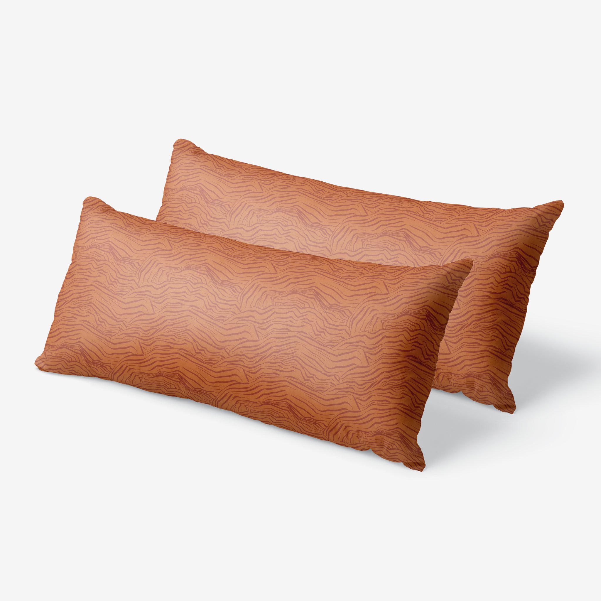 King Silk Pillowcase Set